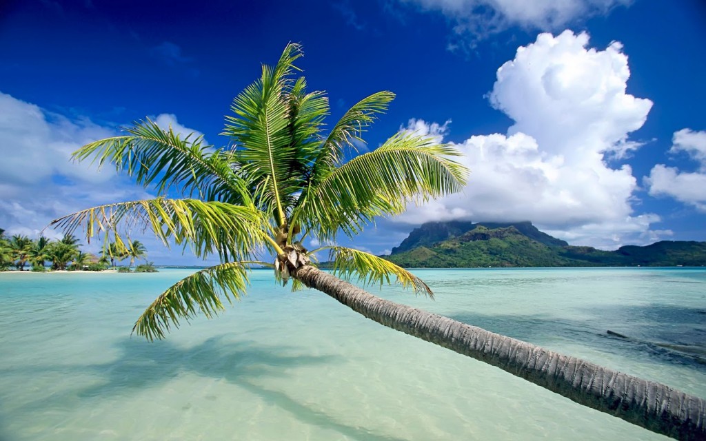 Caribbean