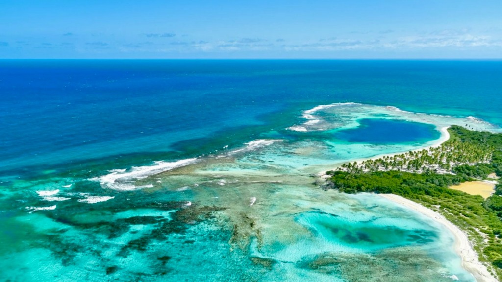 Caribbean