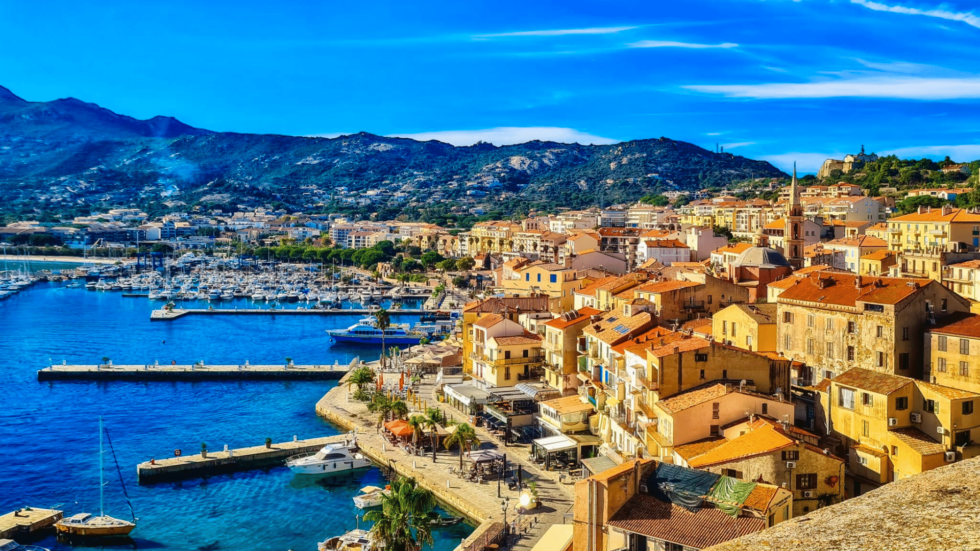 Calvi
