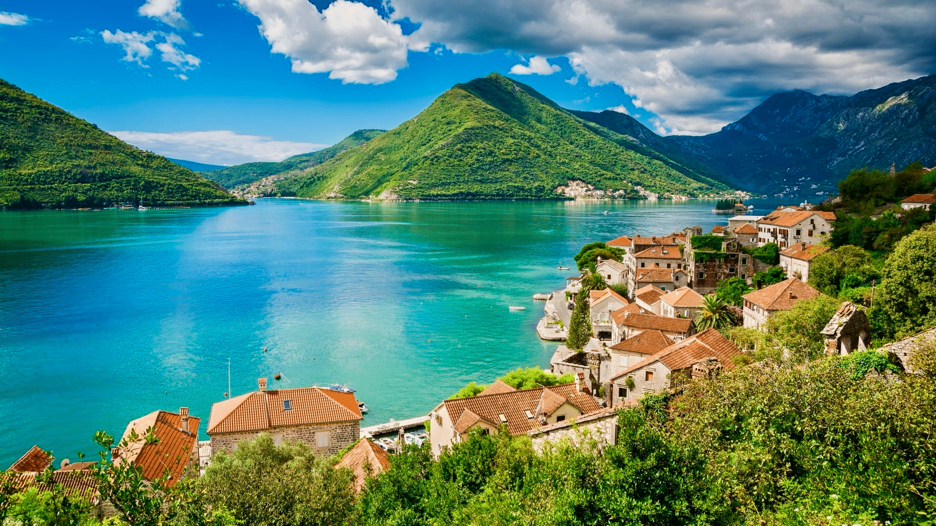Kotor