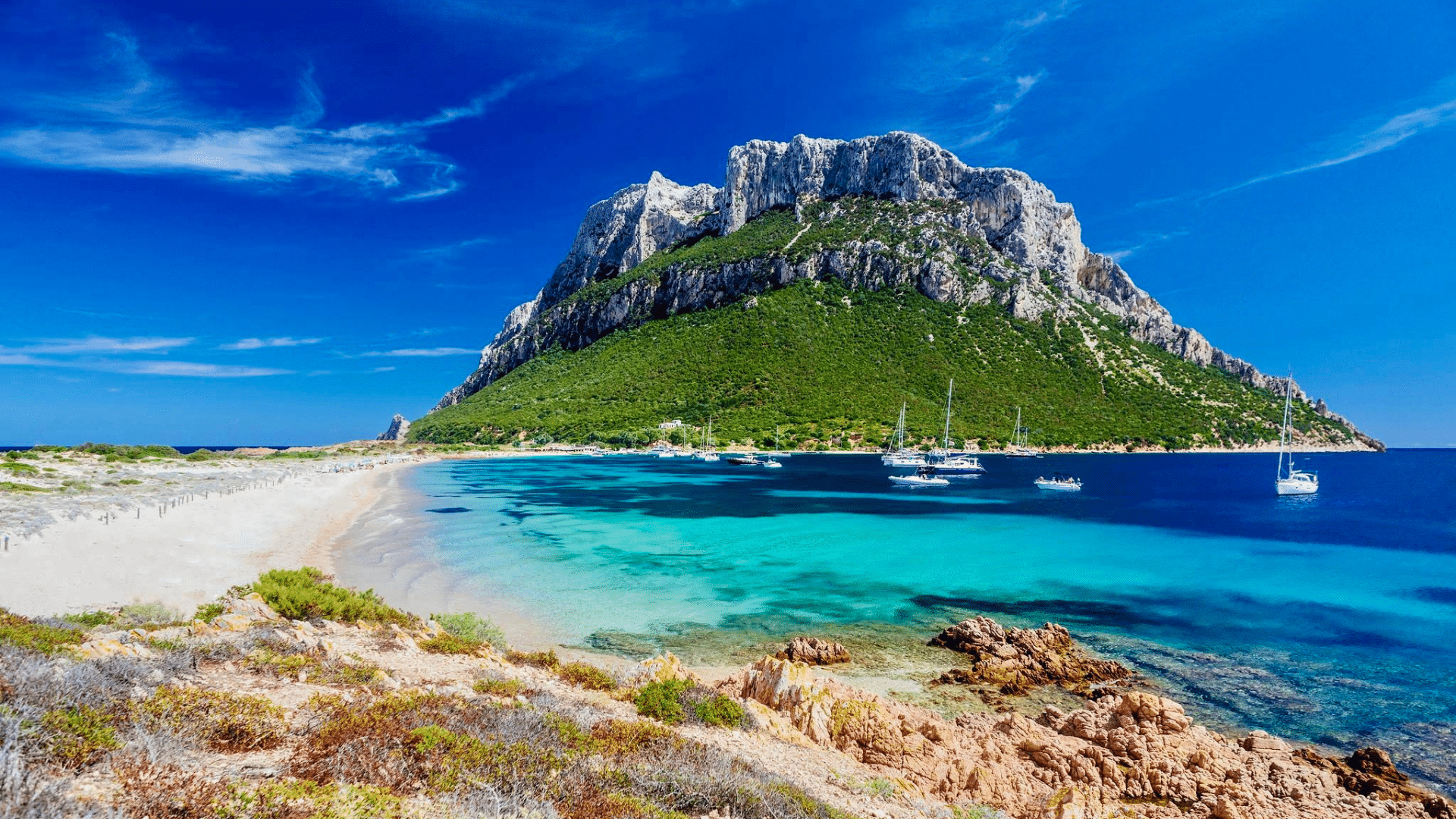 Island of Tavolara
